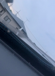 LINE_ALBUM_岸野様　ハト_231211_24